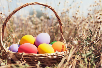 easter painted eggs in basket on meadow