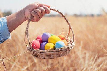easter painted eggs in basket hand holding over meadow