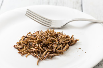 Fried cricket larvae