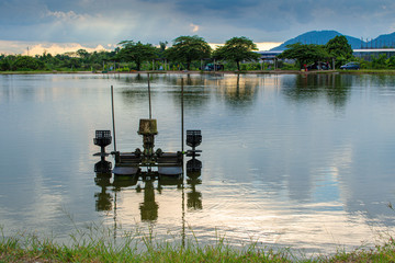 Fototapeta na wymiar Beautiful fishing pond at Pengkalan Ipoh