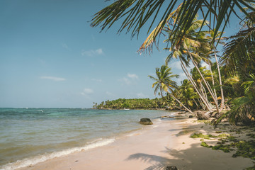 Caribbean beach