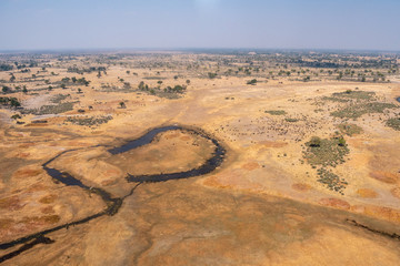 Okavango Delta Aerial of Dry Plain and Buffalo Herd in Moremi Game Reserve