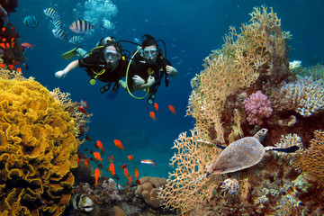 The loving couple dives among corals and fishes in the ocean