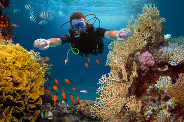 Naklejka na ściany i meble The happy man dives among corals and fishes in the ocean