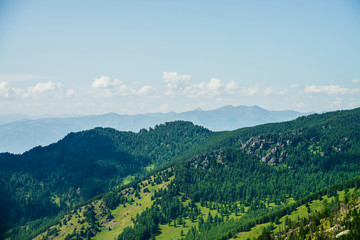 Fototapeta premium Scenic aerial view to green forest hills and long mountain range under blue sky. Awesome minimalist alpine landscape of vast expanses. Wonderful vivid highland scenery with great mountains and forest.