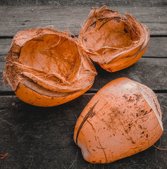 Damaged coconut skin