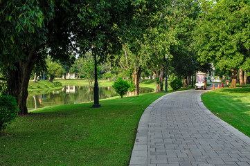 Obraz premium Thailand, Public Park, Grass, Tree, Backgrounds