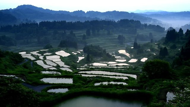 田植えを終えたばかりの星峠の水田