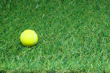 tennis on green grass background - Team Sport Activity Concept 