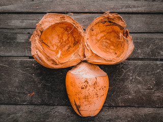 Damaged coconut skin