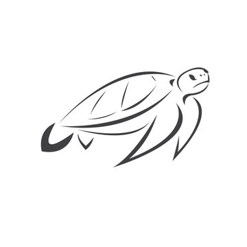 Vector of turtle Black design on a white background. Reptile. Animals. Sea creatures. illustration.