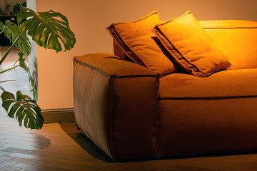 orange pillows on the couch and a monstera plant in the interior.