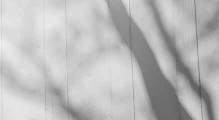 Abstract Shadows, blurred background of gray leaves and natural trees that reflect concrete walls, fallen branches on white wall surfaces for blurred backgrounds and black and white wallpapers.