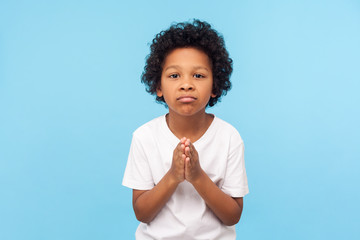 Let me please. Portrait of cute little boy holding hands in prayer gesture and asking permission, feeling guilty sorry, apologizing for bad behavior. indoor studio shot isolated on blue background - obrazy, fototapety, plakaty