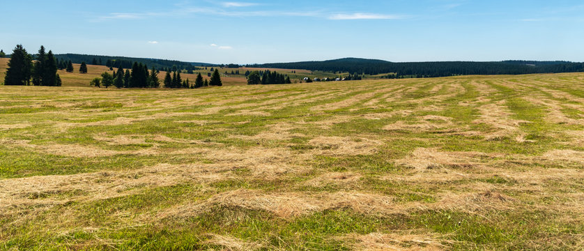 Krusne hory mountains near Prebuz settlement in Czech republic during nice summer day