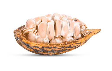 Fresh cocoa fruits with half sliced isolated on white background