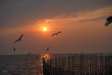sunset at the sea