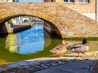 Canali e ponti a Comacchio, Emilia Romagna, Italia, con cielo blu senza nuvole
