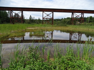 North America, Canada, Province of Nova Scotia, Cape Breton Island, swamp, forest, bridge