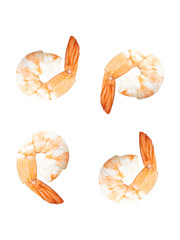 Shrimp of boiled prawn seafood isolated white background