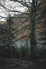 Biescas, Arag&oacute;n. Spain