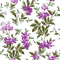 Beautiful interlacing blooming phlox pattern