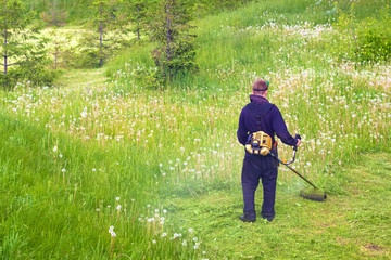 Worker cuts weeds with a lawn mower