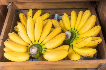 Fresh ripe yellow small bananas, bunch of bananas in a wooden box in a market, shop. Tropical...