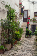Fototapeta na wymiar Walking charming white streets of Locorotondo in Puglia, Italy