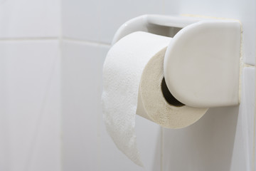 Roll of tissue paper hanging at the tissue paper hanger