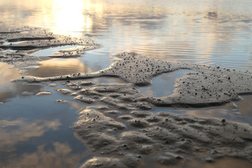 Reflection on the Lakefront