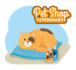 pet shop veterinary with little cat