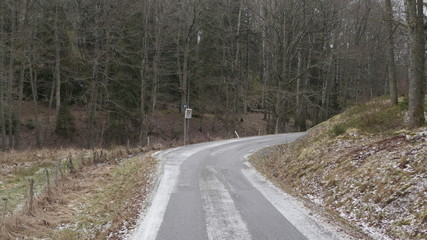 spring road through the forest