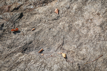 Stone texture and background Abstract for designing beautiful tex