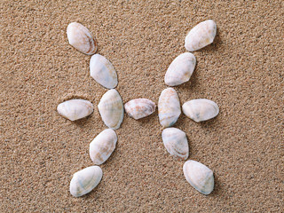 Fototapeta na wymiar Pisces Zodiac sign made of seashells on sand background