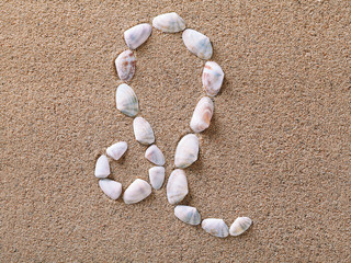 Fototapeta na wymiar Leo Zodiac sign made of seashells on sand background
