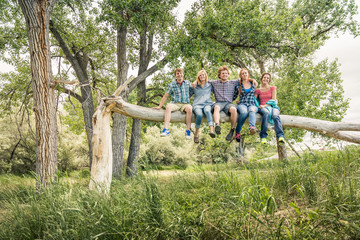 Group of friends hanging out and having a fun picnic in a park. Bridger, Montana, USA