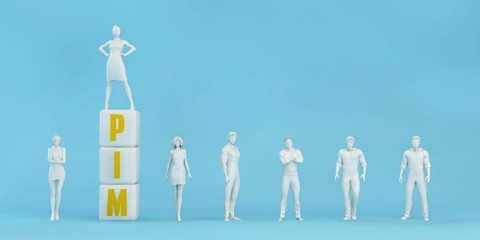 PIM Product Information Management