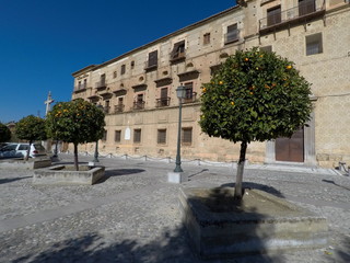 Naklejka premium Abadia