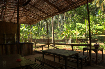 dining in the jungle