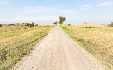 Fototapeta na wymiar a gravel road through agricultural fields next to Ponte a Tressa (Monteroni d'Arbia), province of Siena, Tuscany, Italy