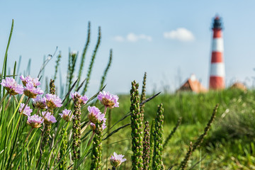 Leuchtturm Westerheversand an der Nordseeküste