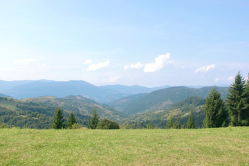 Fototapeta na wymiar Summer landscape of Ukrainian Carpathians. Forest in the mountains of eastern Europe.