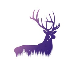 Deer silhouette and night