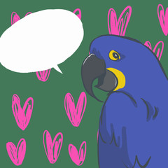 スミレコンゴウインコ　インコ　鳥　ハート