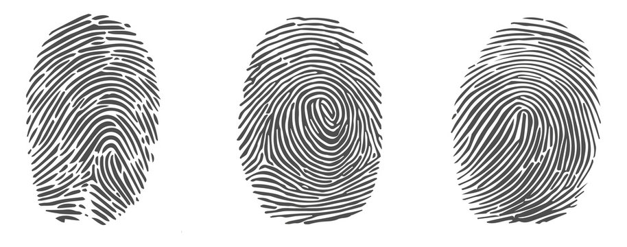 Set of vector fingerprint icons isolated on white background.