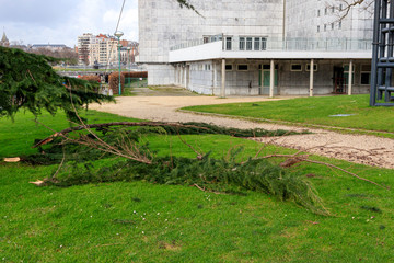 Dégât de la tempête à Liège