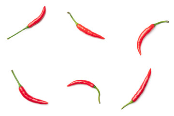 Red hot chili pepper isolated