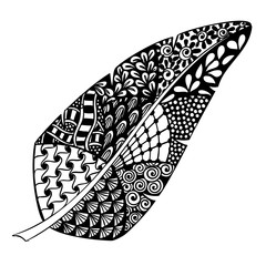 Digital hand drawn zen tangle feather on white background