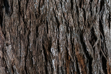 old wood texture for background or wallpapers